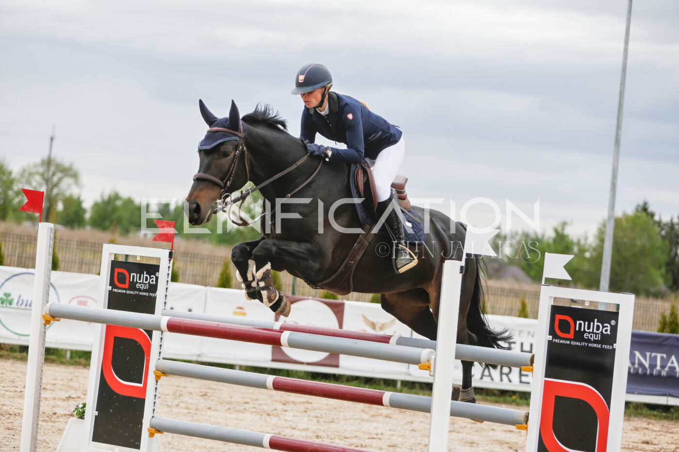 Gramina_Kevad_2026_120_205
