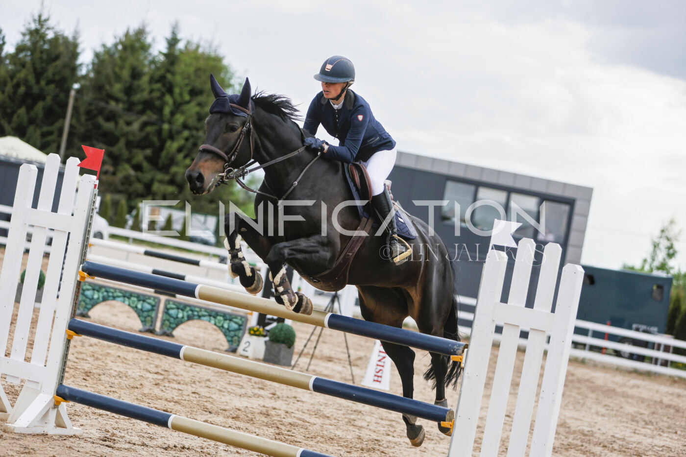 Gramina_Kevad_2026_120_211