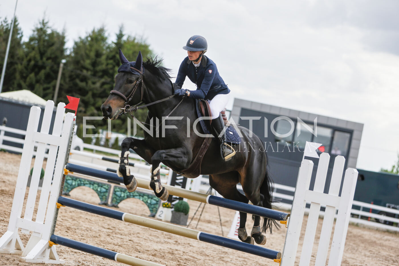 Gramina_Kevad_2026_120_212