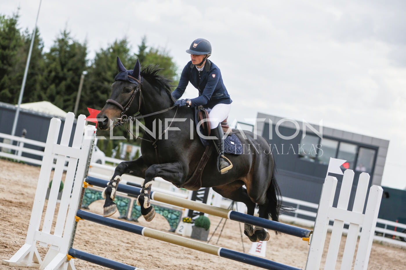 Gramina_Kevad_2026_120_213