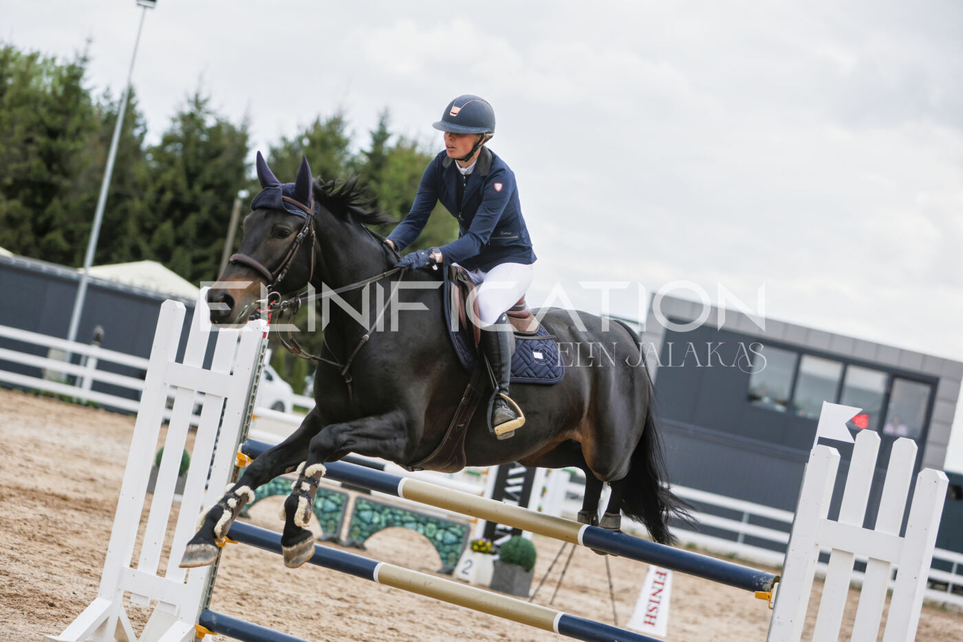 Gramina_Kevad_2026_120_214