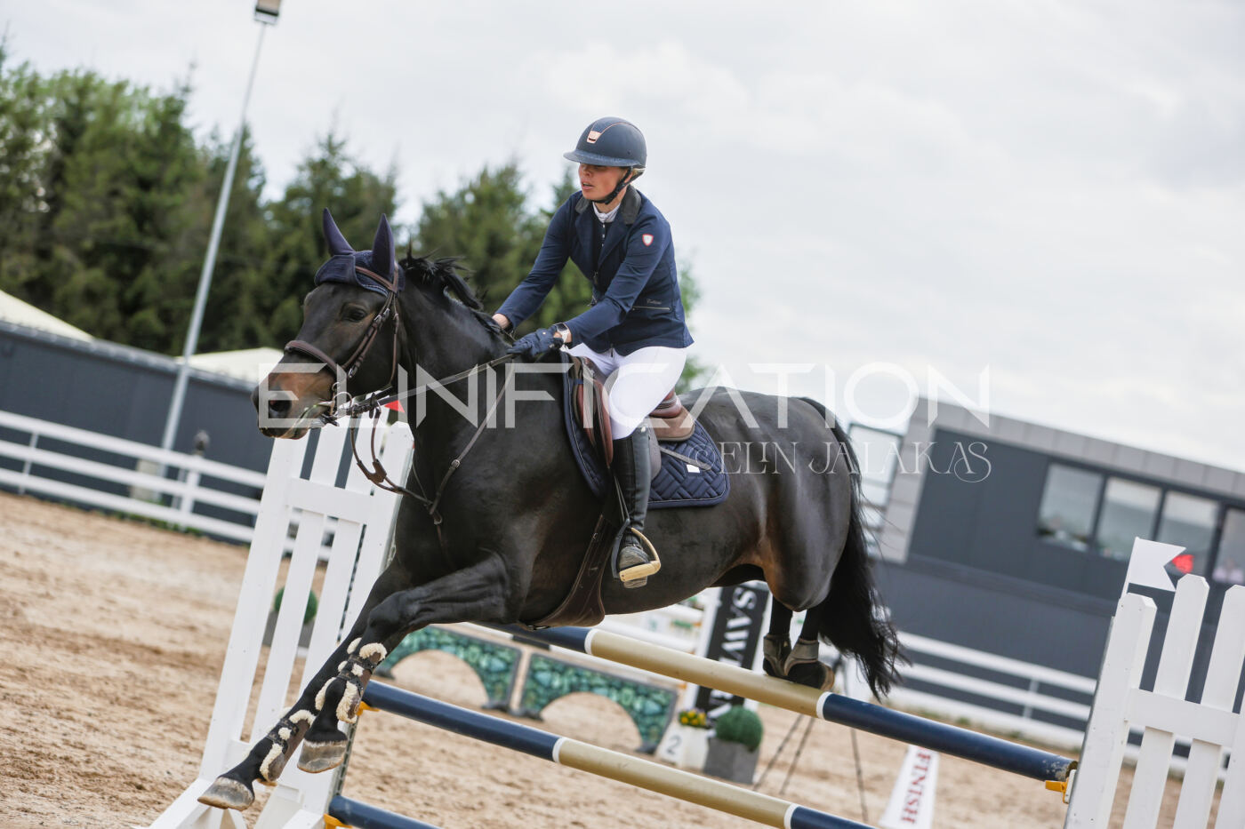 Gramina_Kevad_2026_120_215