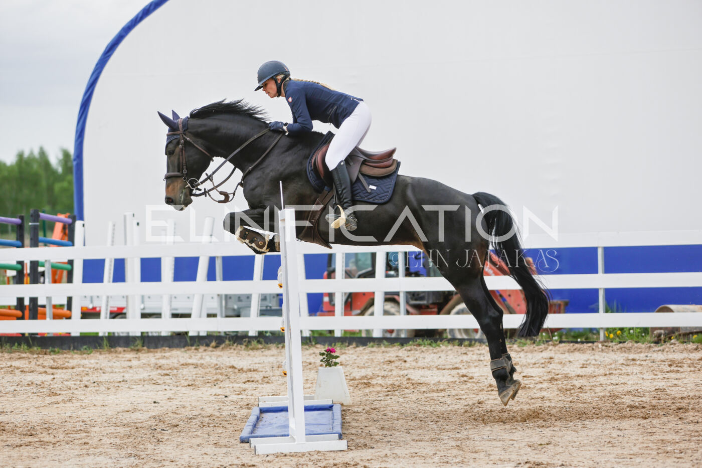 Gramina_Kevad_2026_120_216