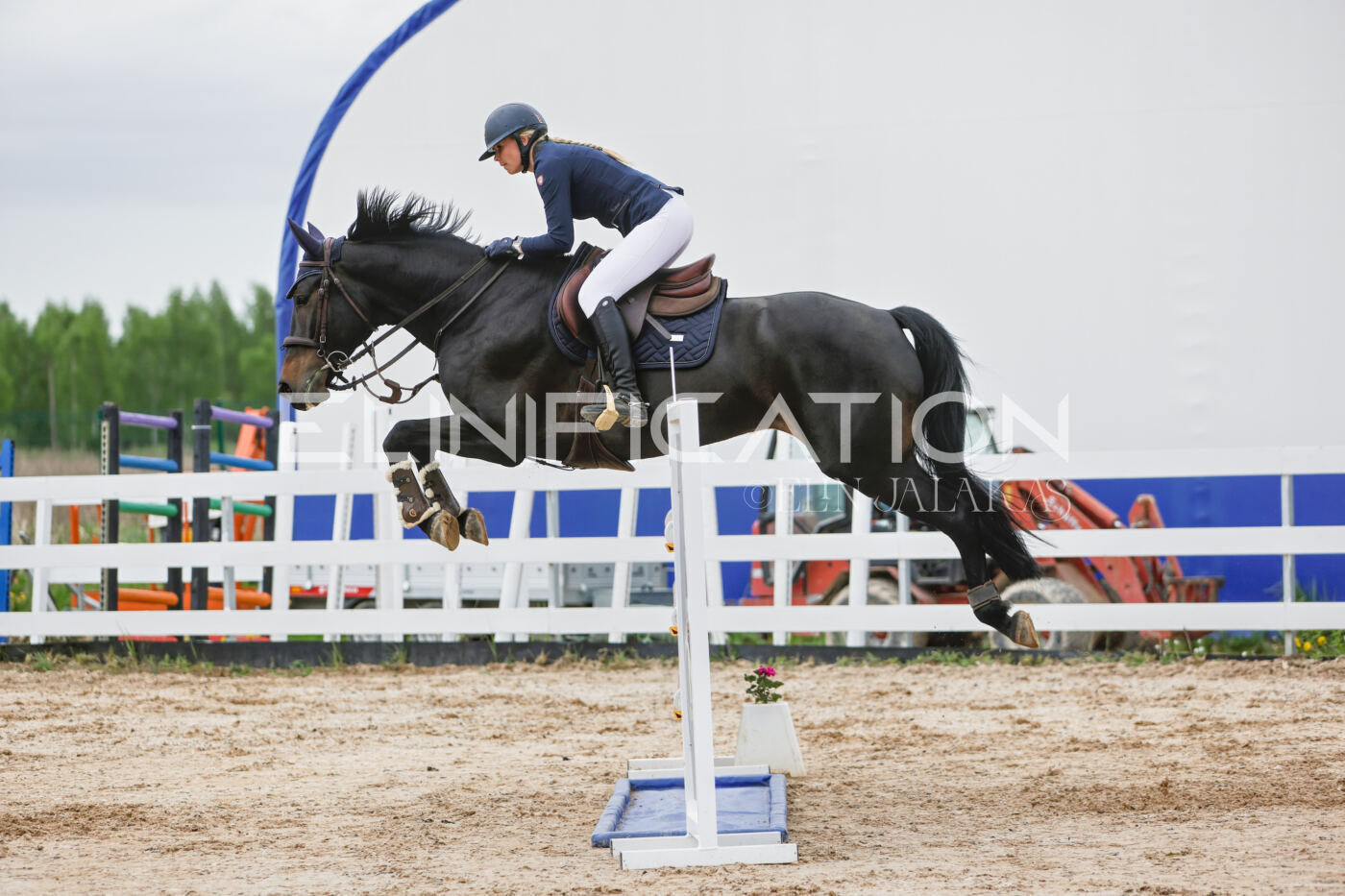 Gramina_Kevad_2026_120_218