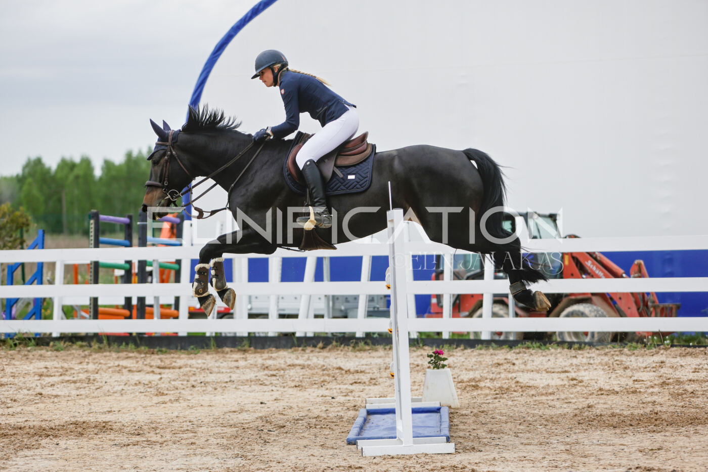 Gramina_Kevad_2026_120_219