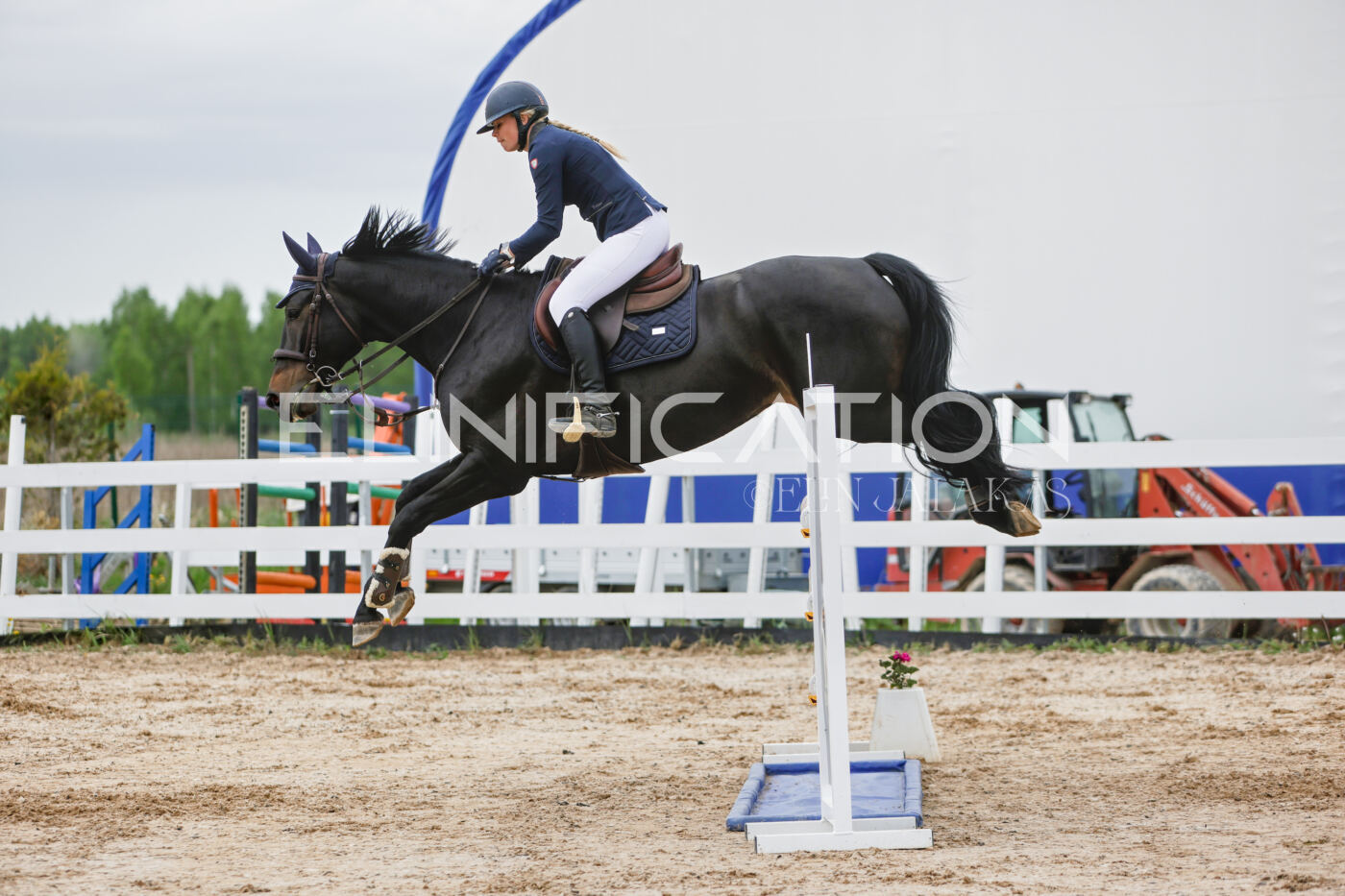 Gramina_Kevad_2026_120_220