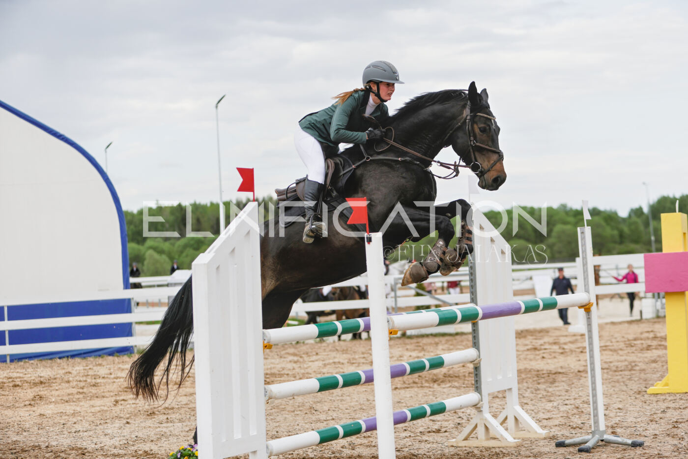 Gramina_Kevad_2026_120_221