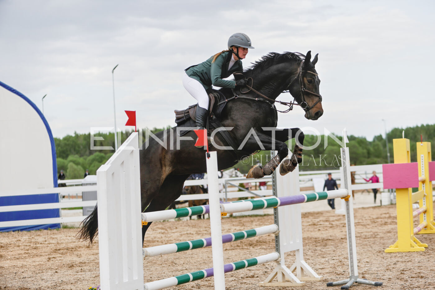 Gramina_Kevad_2026_120_222