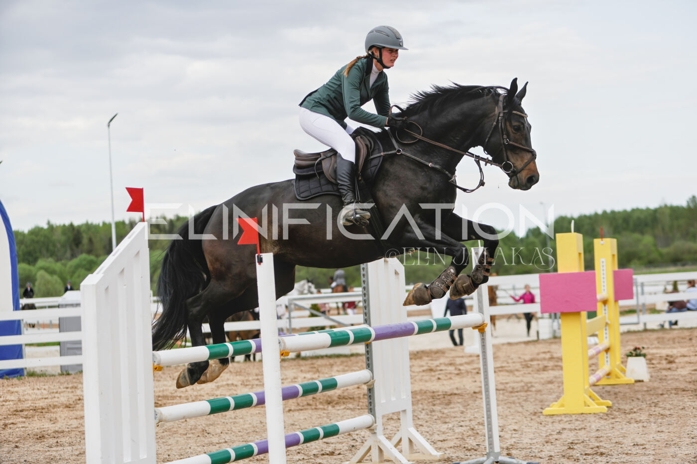 Gramina_Kevad_2026_120_224