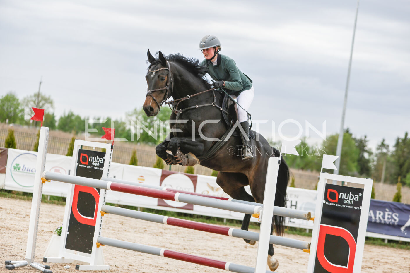 Gramina_Kevad_2026_120_231