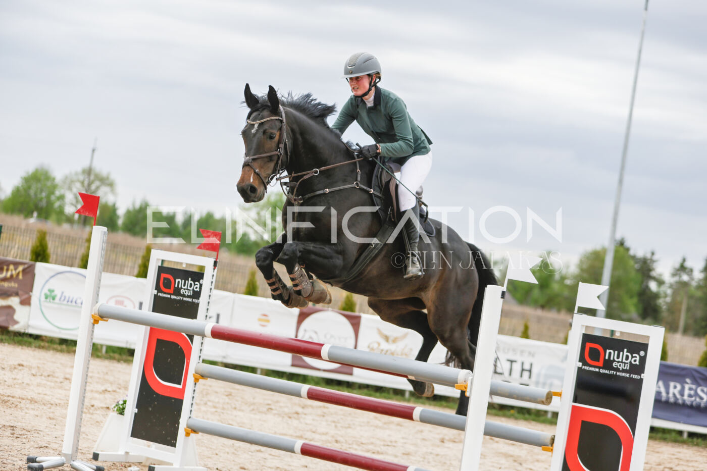 Gramina_Kevad_2026_120_232