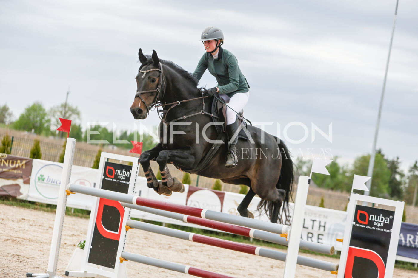 Gramina_Kevad_2026_120_233