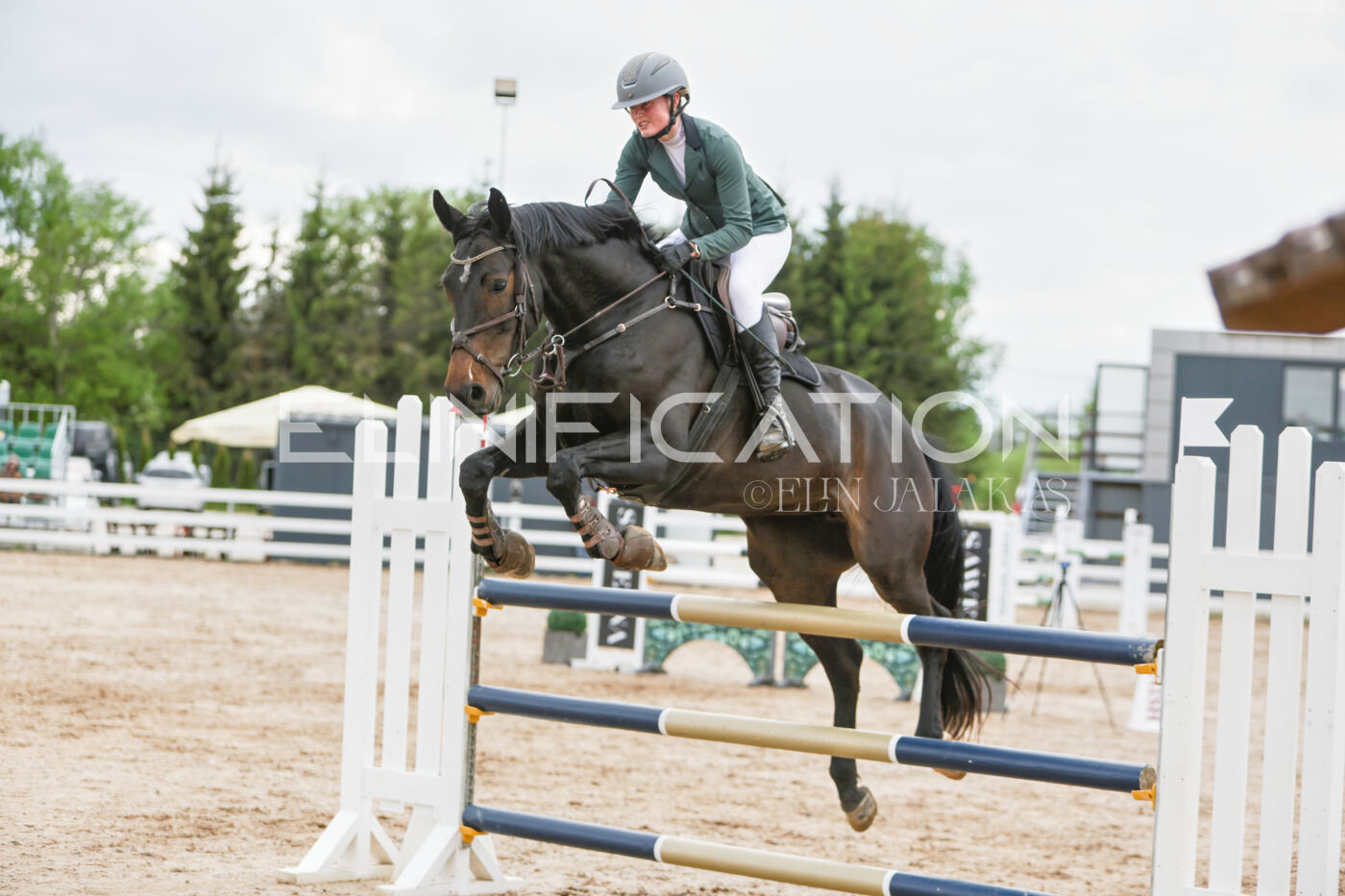 Gramina_Kevad_2026_120_234