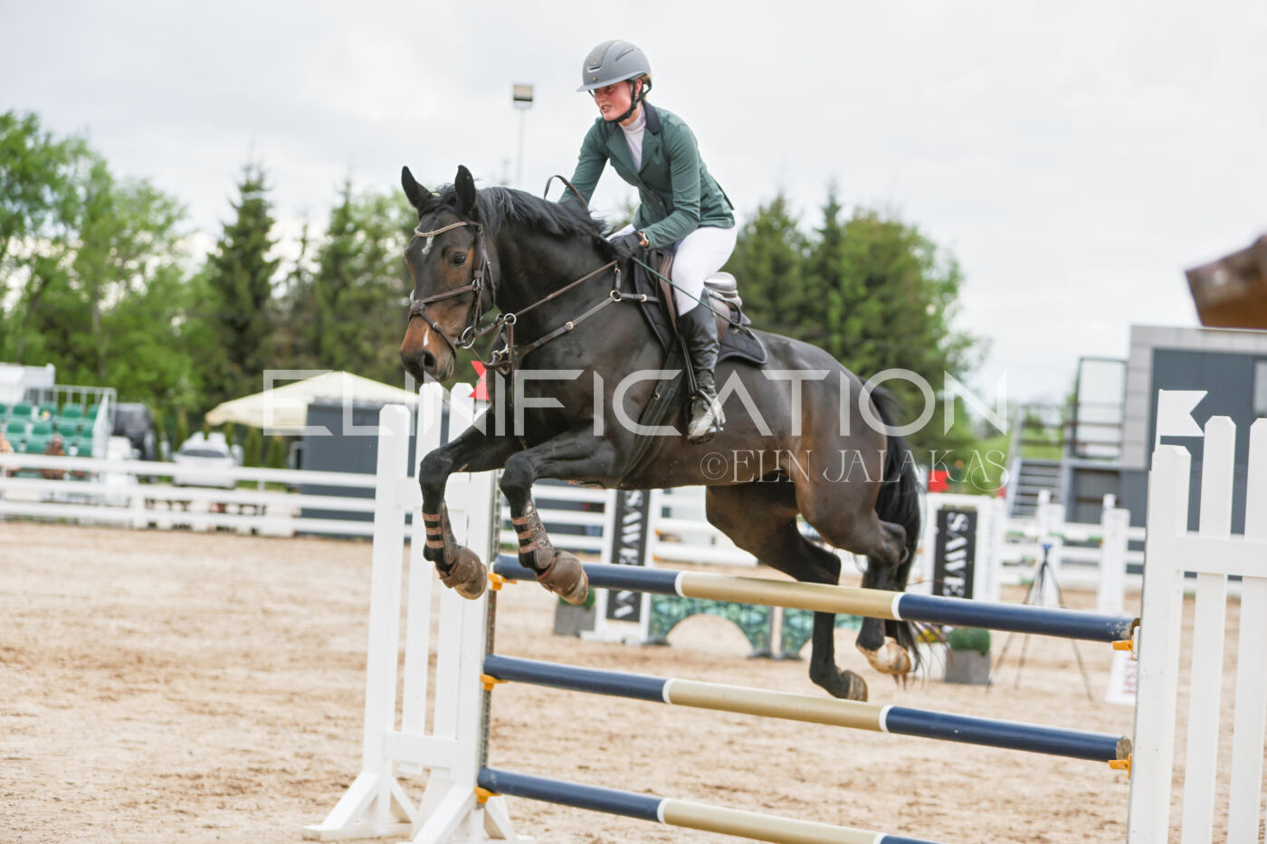 Gramina_Kevad_2026_120_235