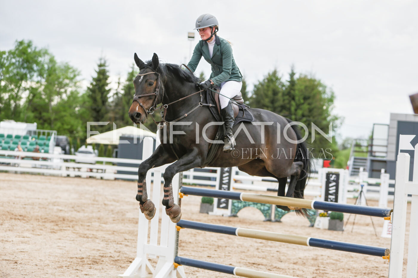Gramina_Kevad_2026_120_236