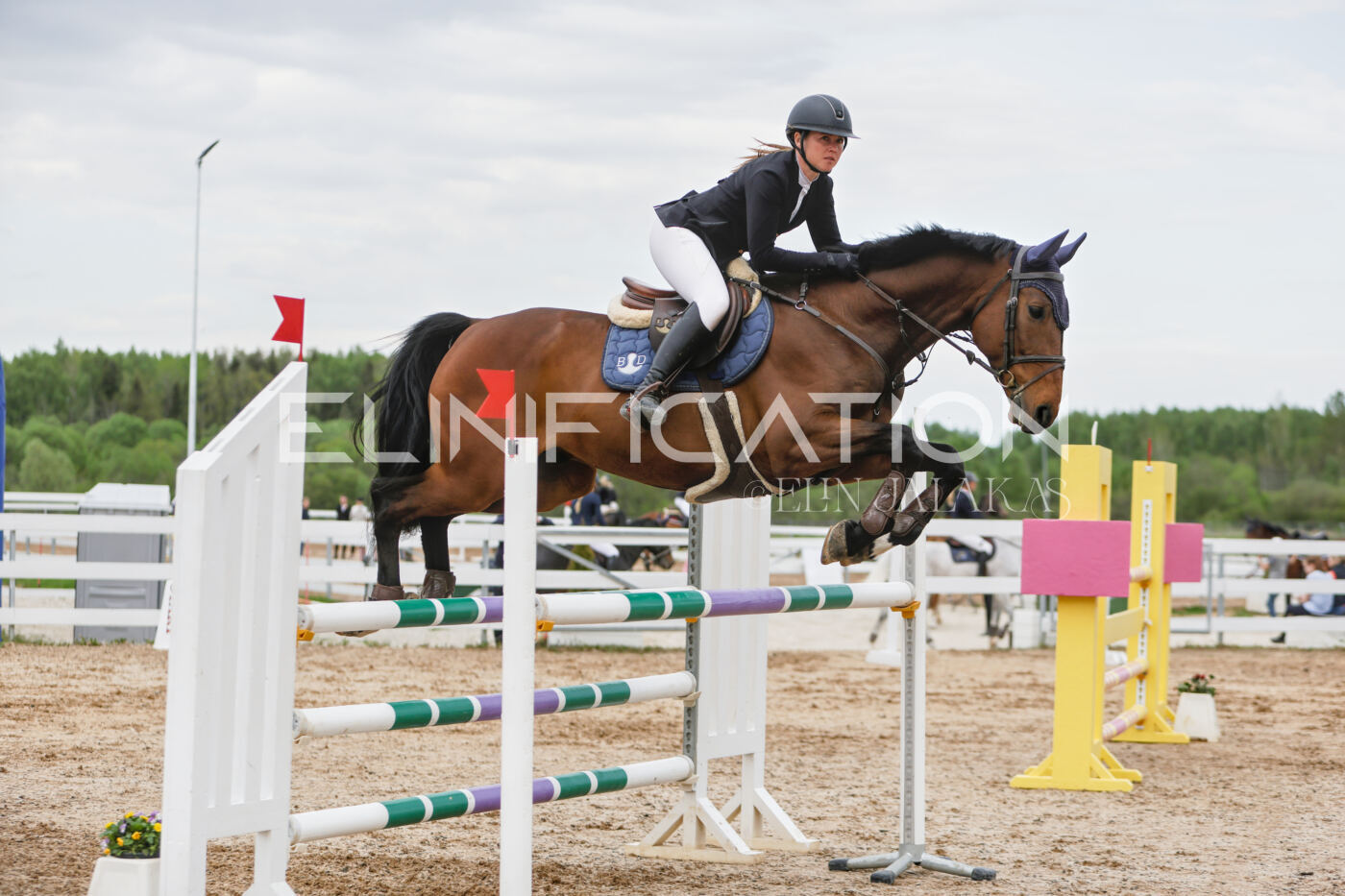Gramina_Kevad_2026_120_239