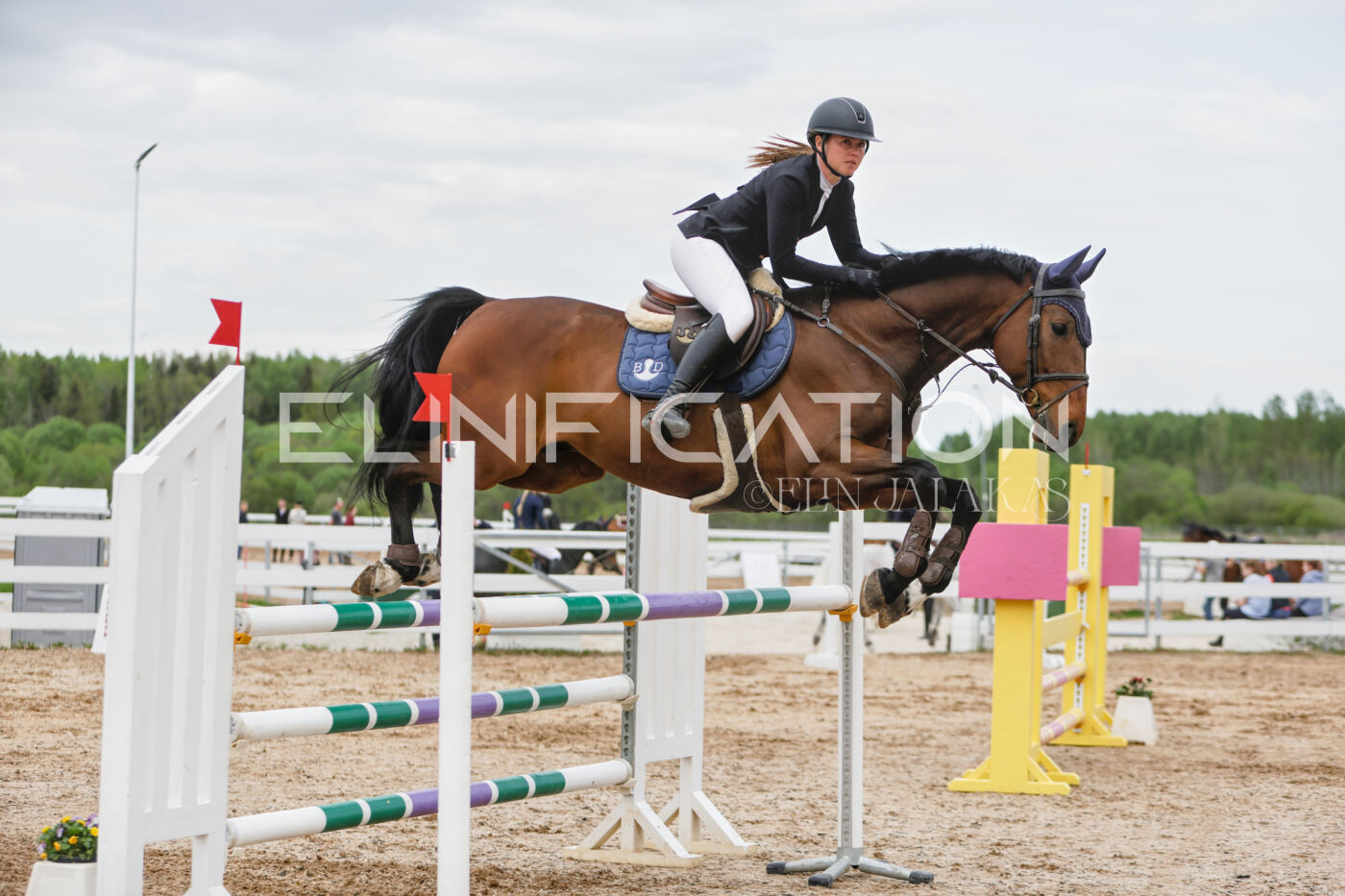 Gramina_Kevad_2026_120_240