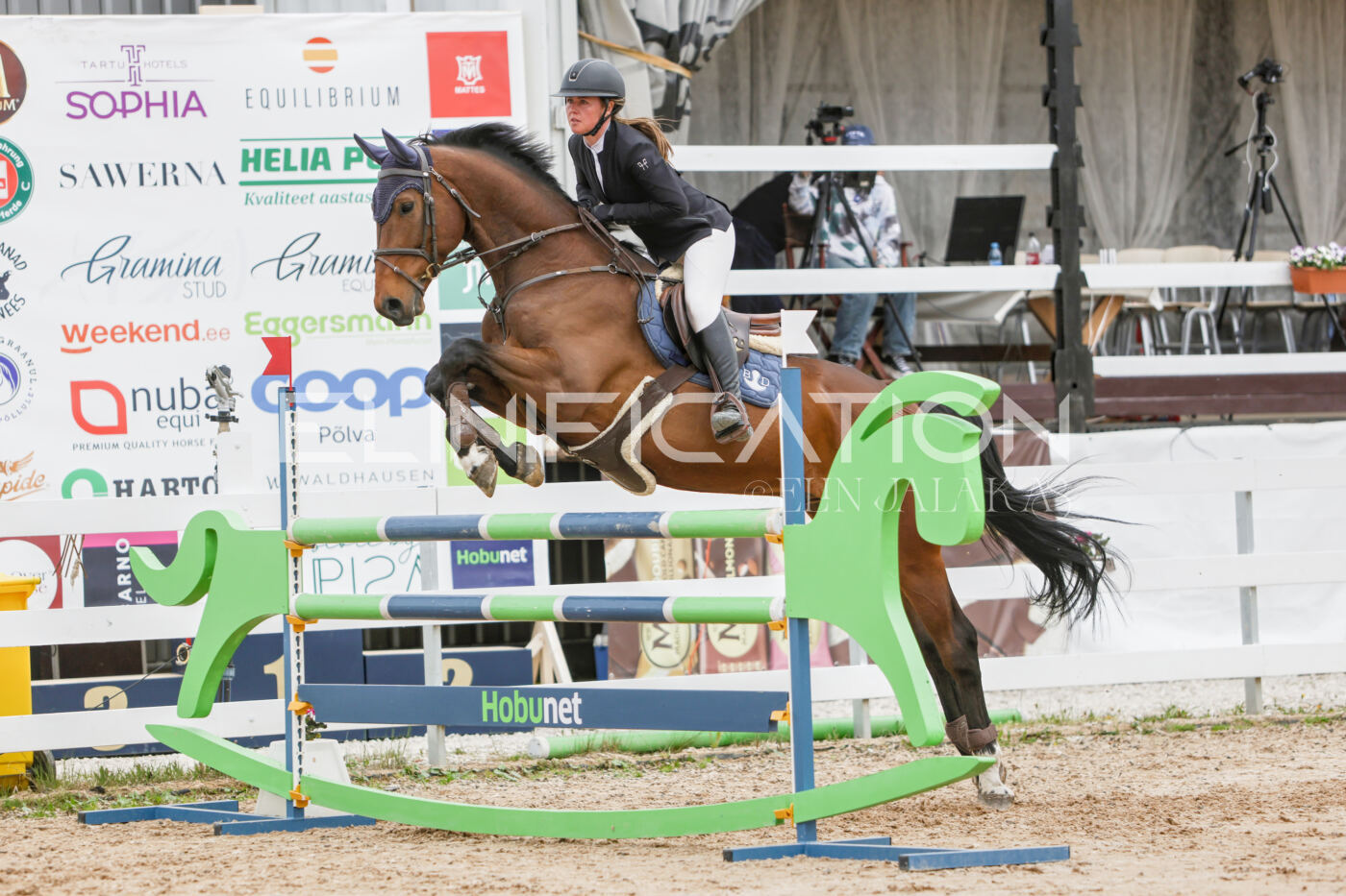 Gramina_Kevad_2026_120_241