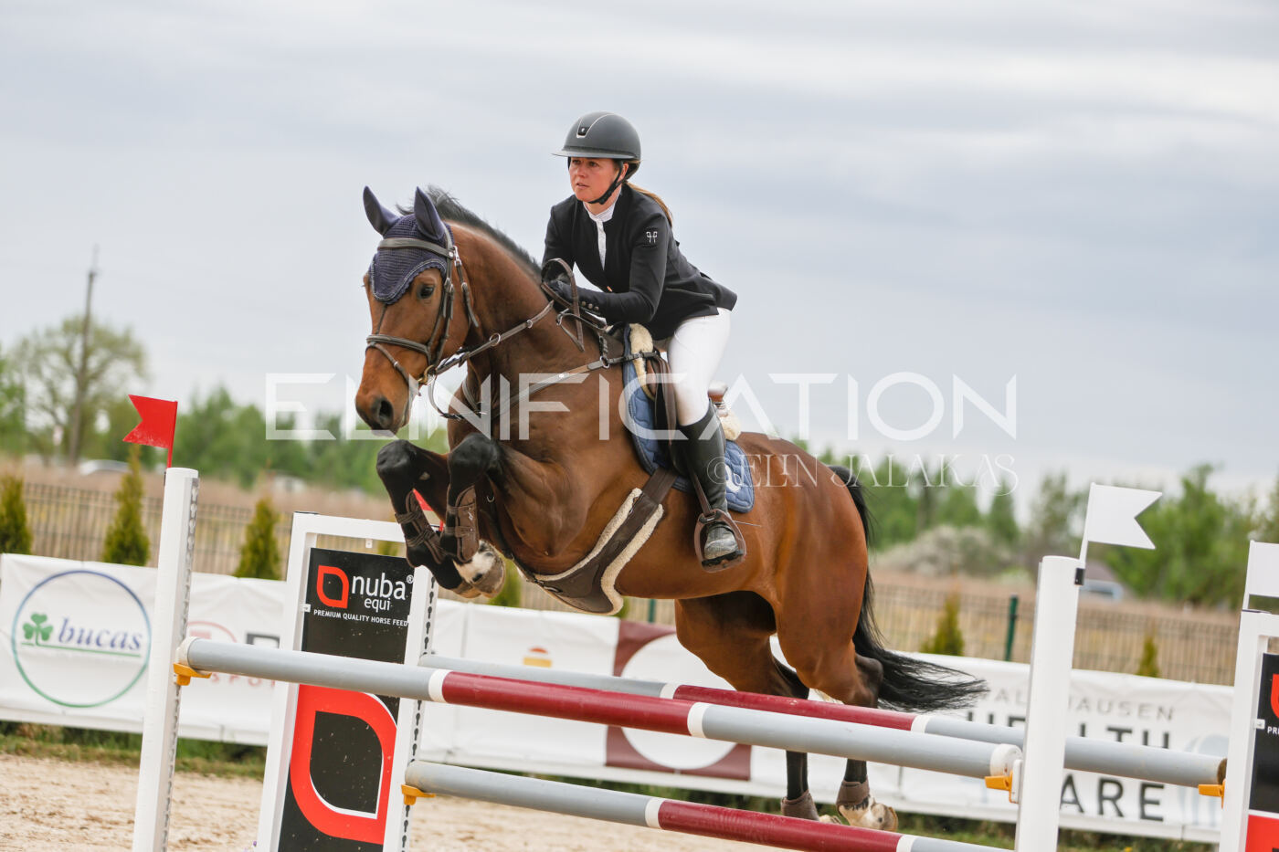 Gramina_Kevad_2026_120_249