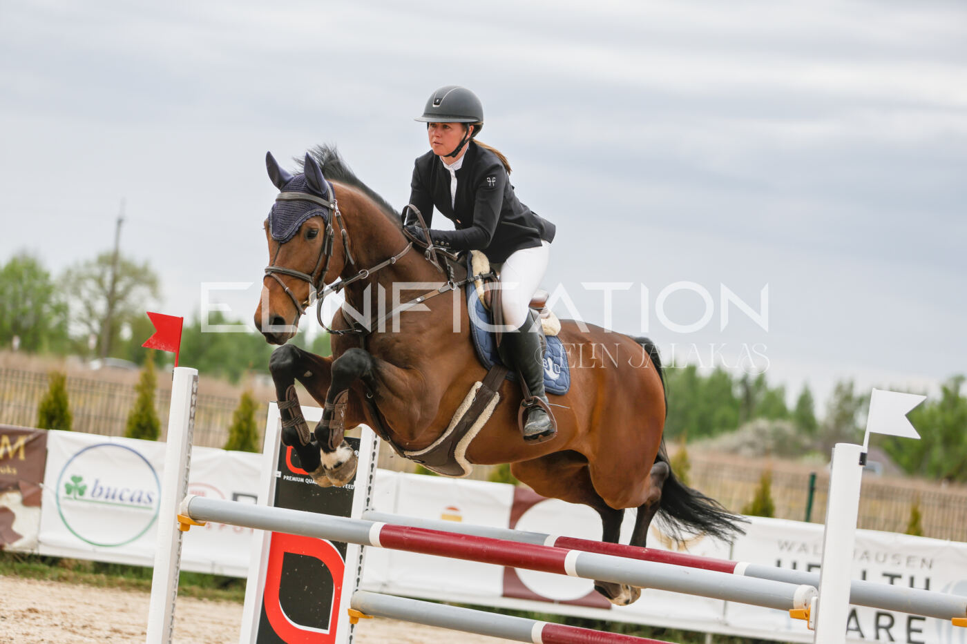 Gramina_Kevad_2026_120_250