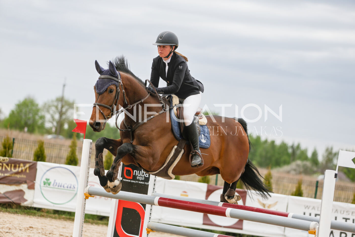 Gramina_Kevad_2026_120_251