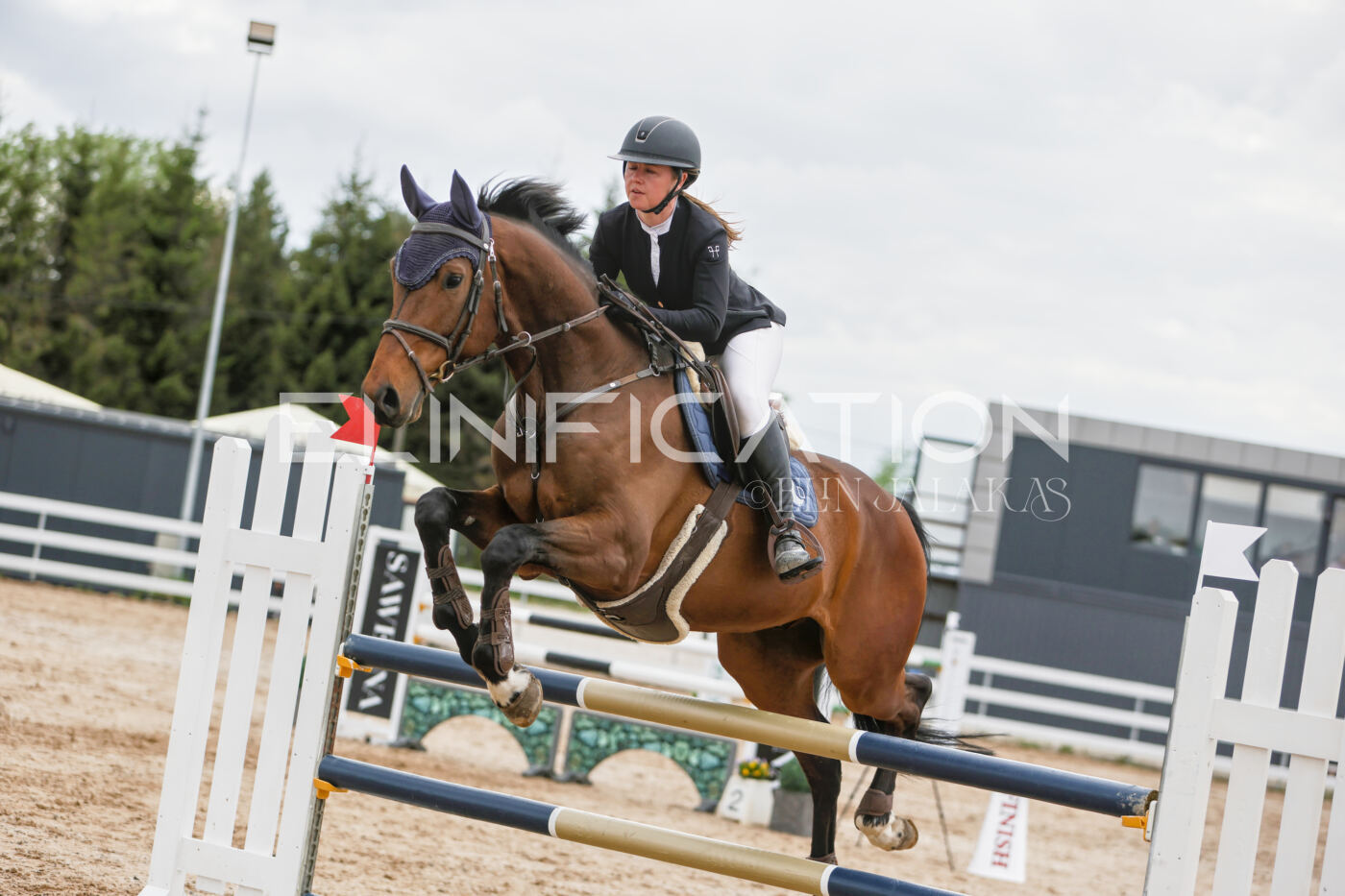 Gramina_Kevad_2026_120_254