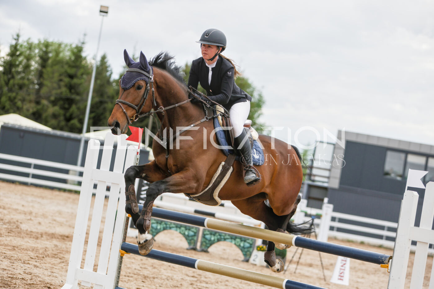 Gramina_Kevad_2026_120_255