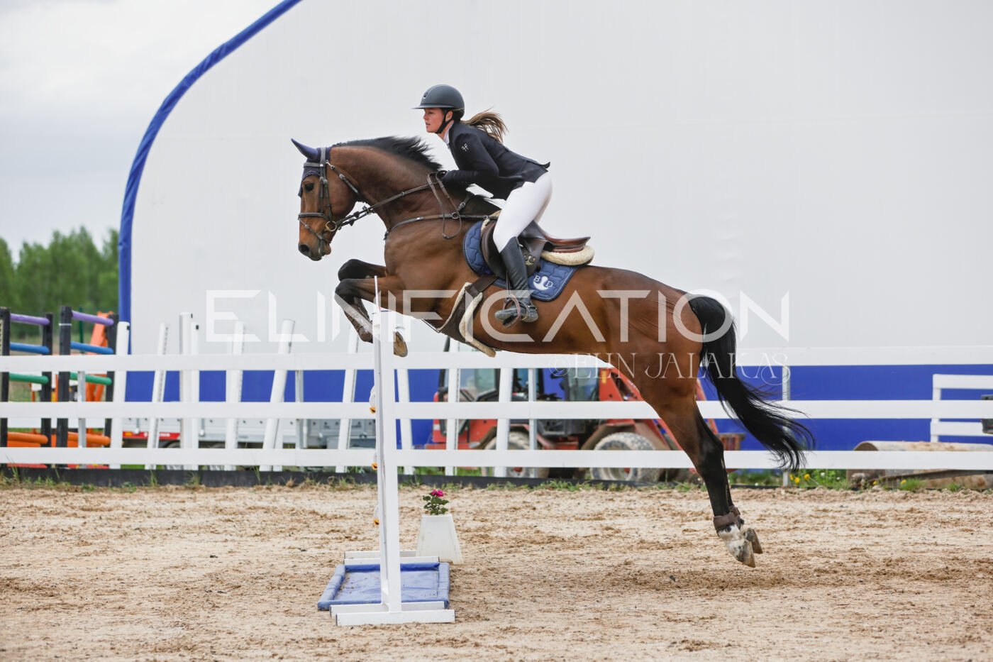 Gramina_Kevad_2026_120_257