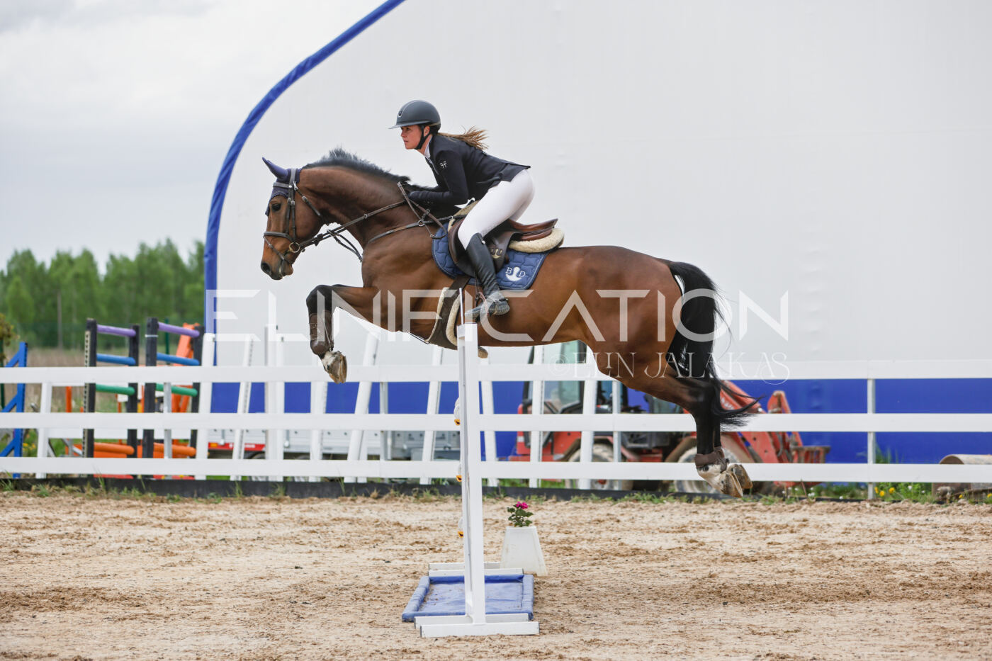 Gramina_Kevad_2026_120_259