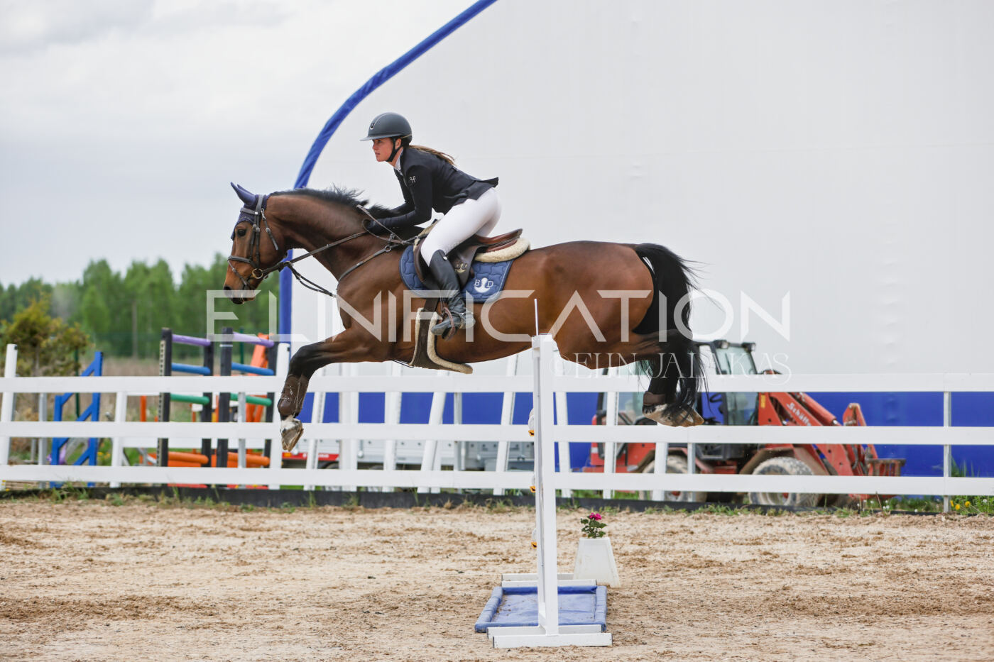 Gramina_Kevad_2026_120_261