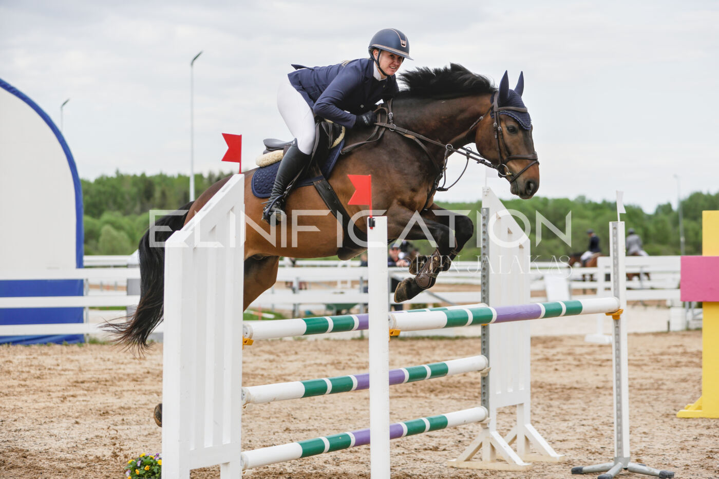 Gramina_Kevad_2026_120_262