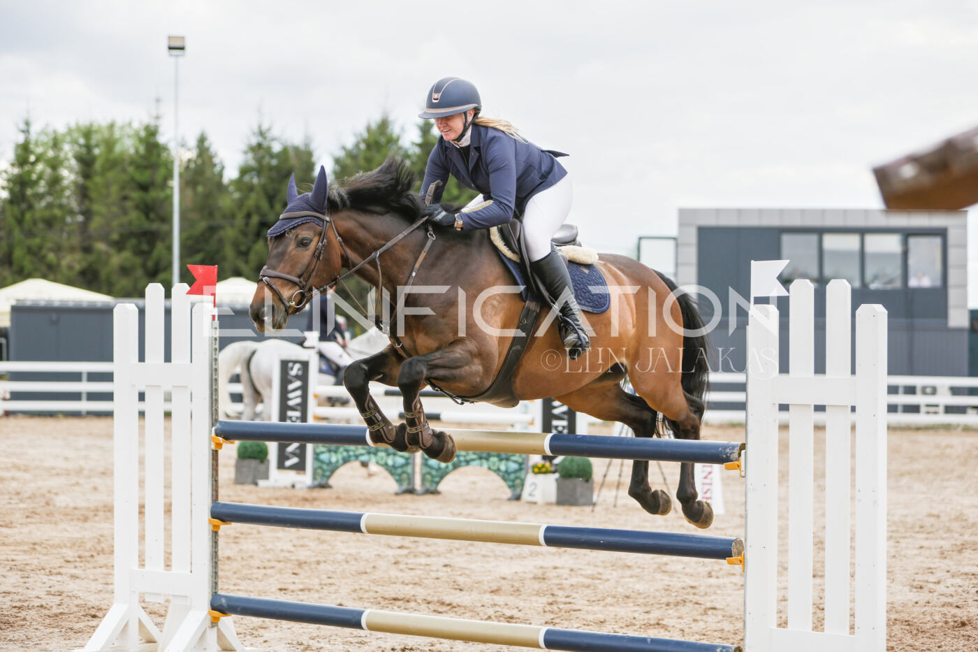 Gramina_Kevad_2026_120_273