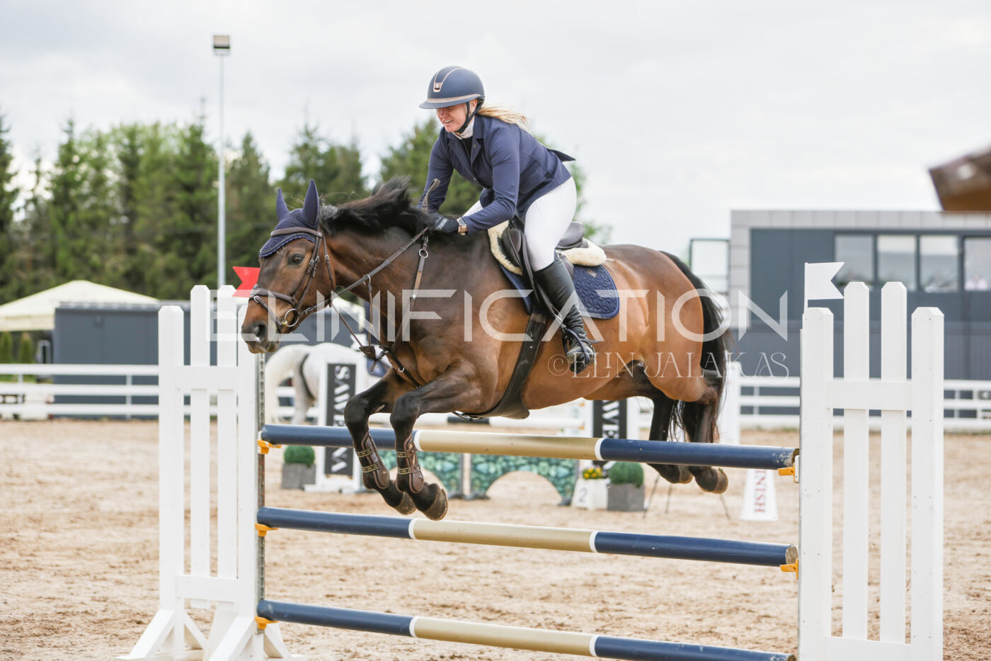 Gramina_Kevad_2026_120_274