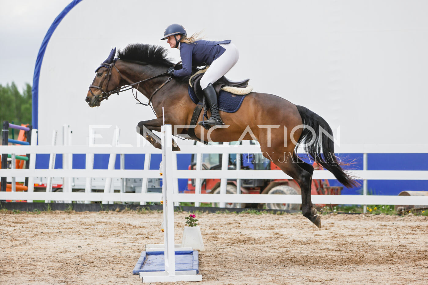Gramina_Kevad_2026_120_275