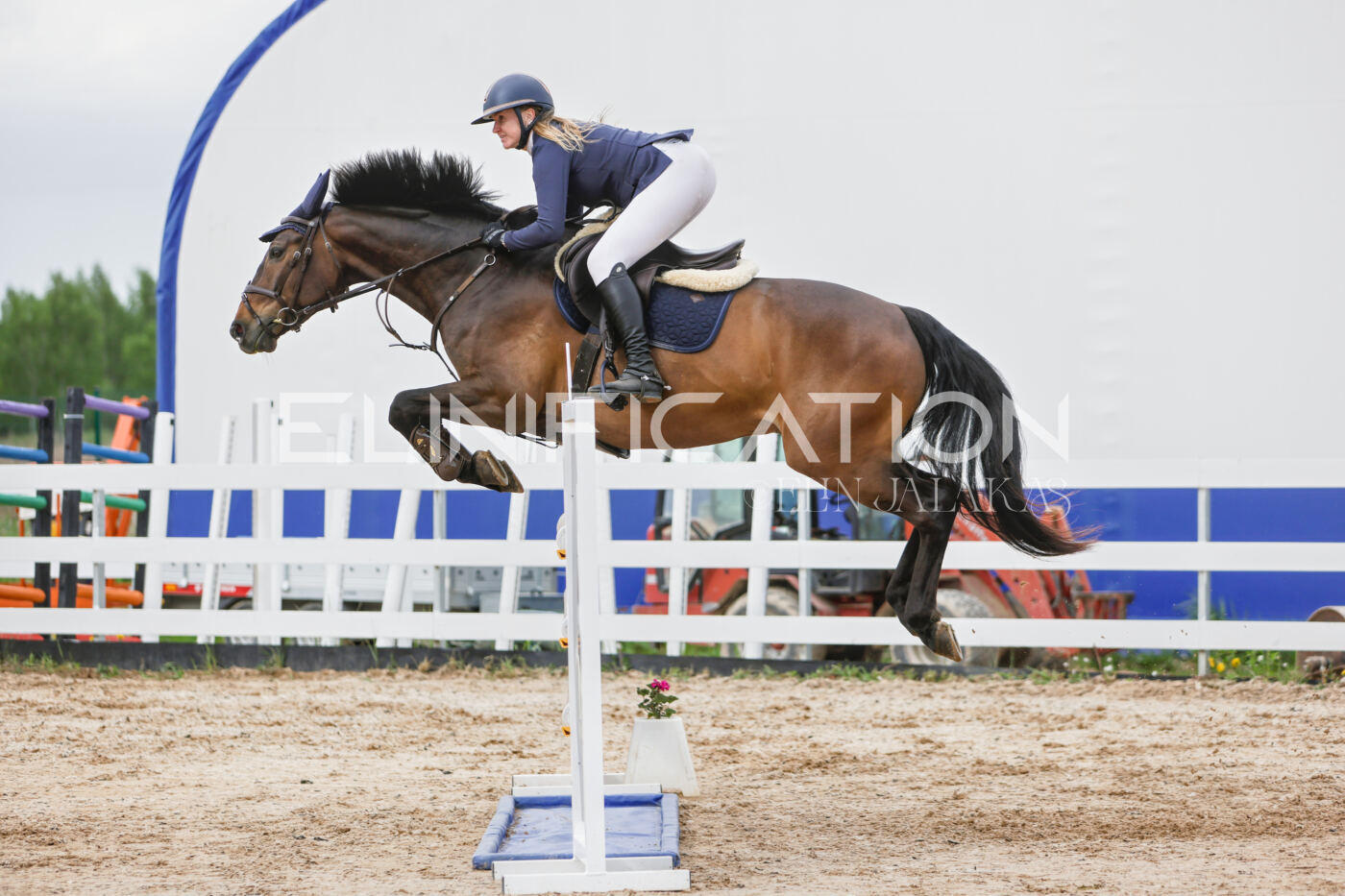 Gramina_Kevad_2026_120_276