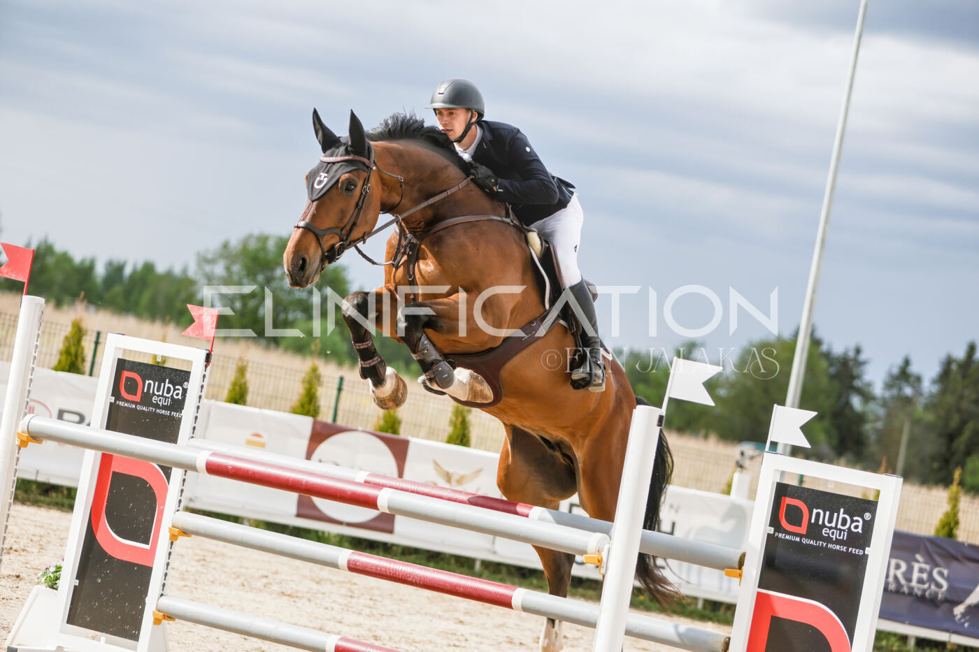 Gramina_Kevad_2026_120_308