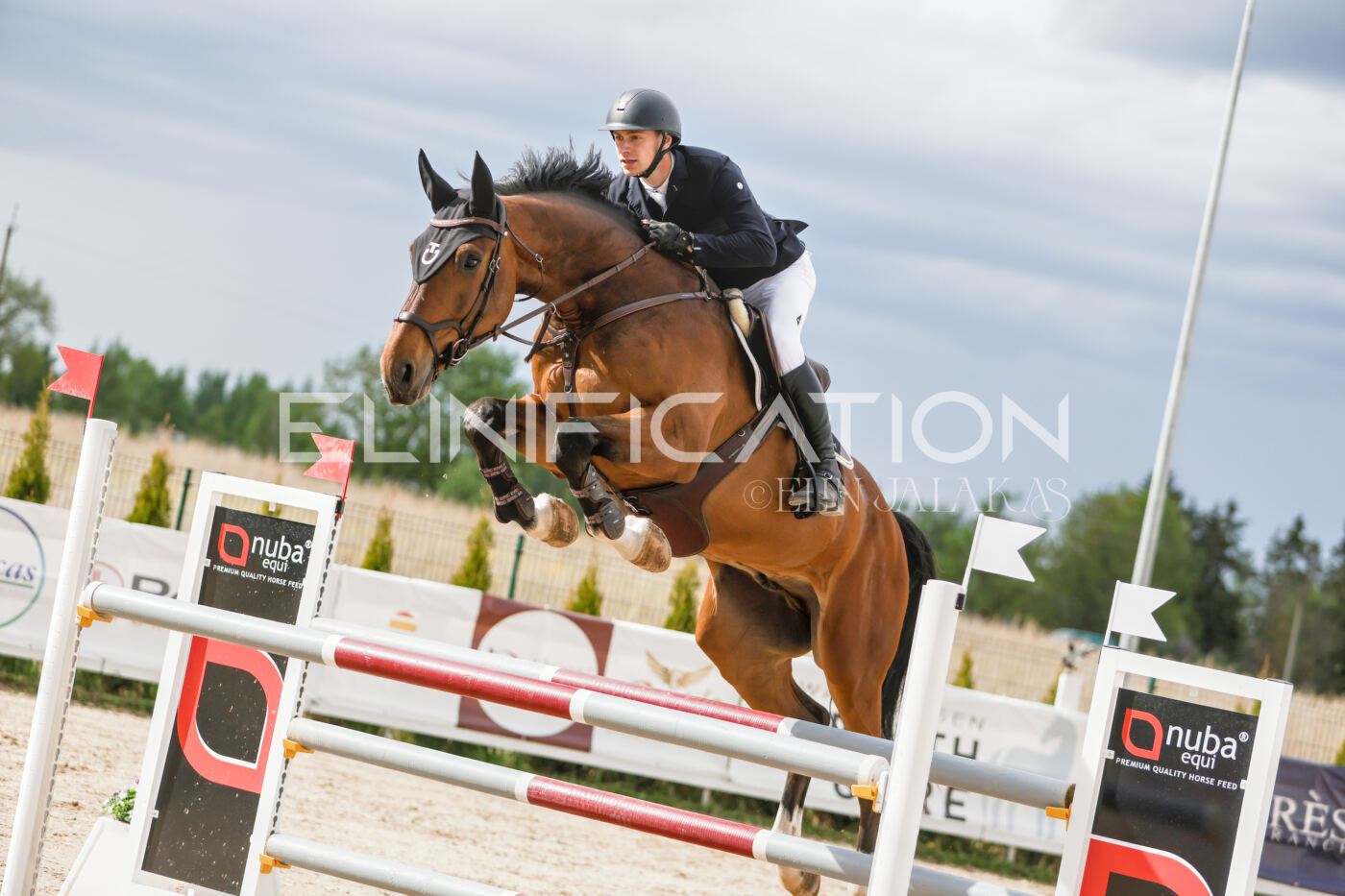 Gramina_Kevad_2026_120_309