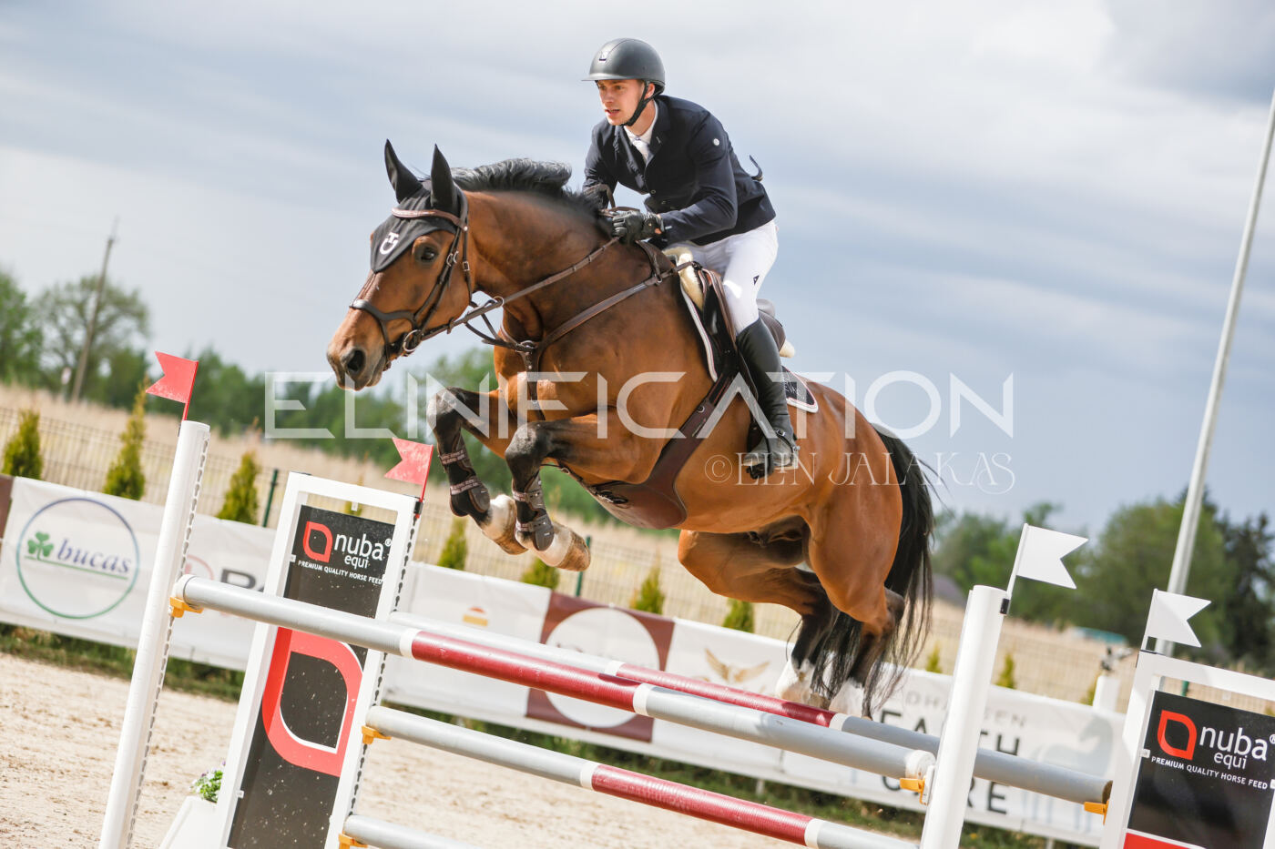 Gramina_Kevad_2026_120_311