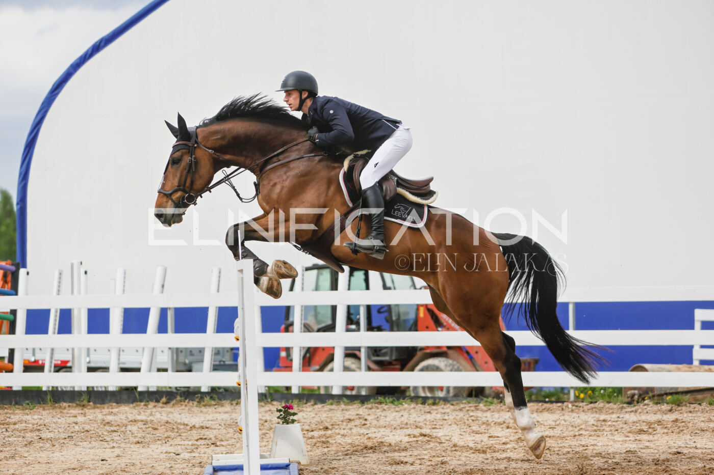 Gramina_Kevad_2026_120_315