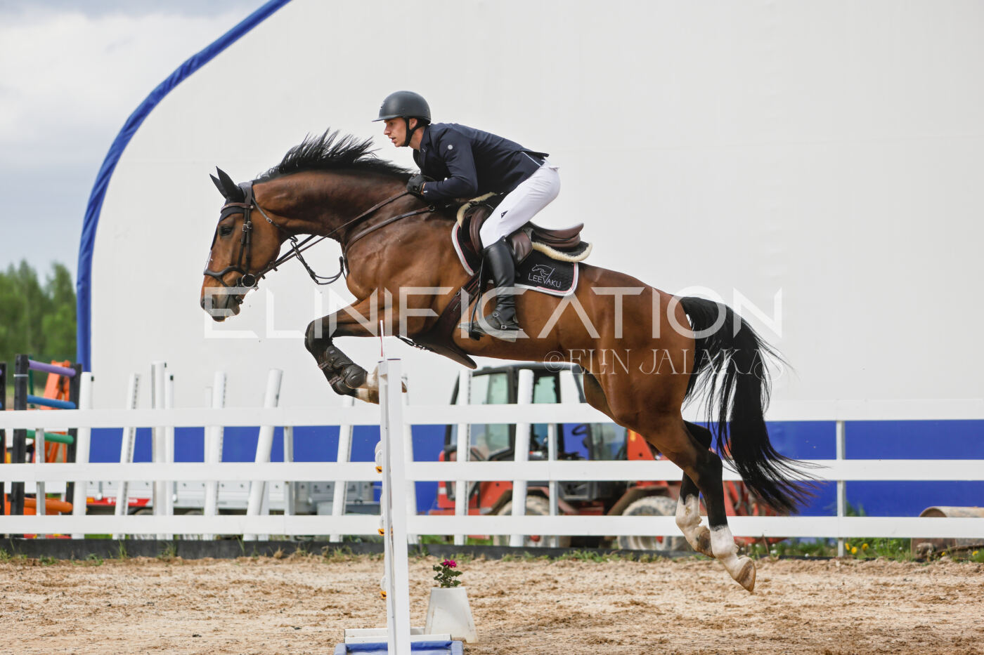Gramina_Kevad_2026_120_316