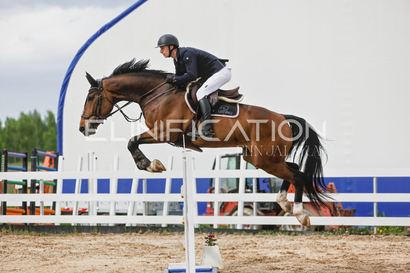 Gramina_Kevad_2026_120_317
