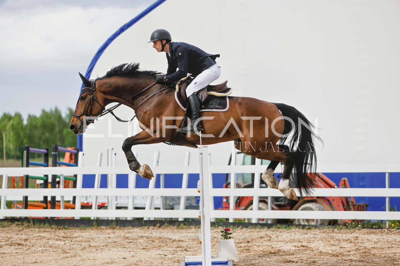 Gramina_Kevad_2026_120_318