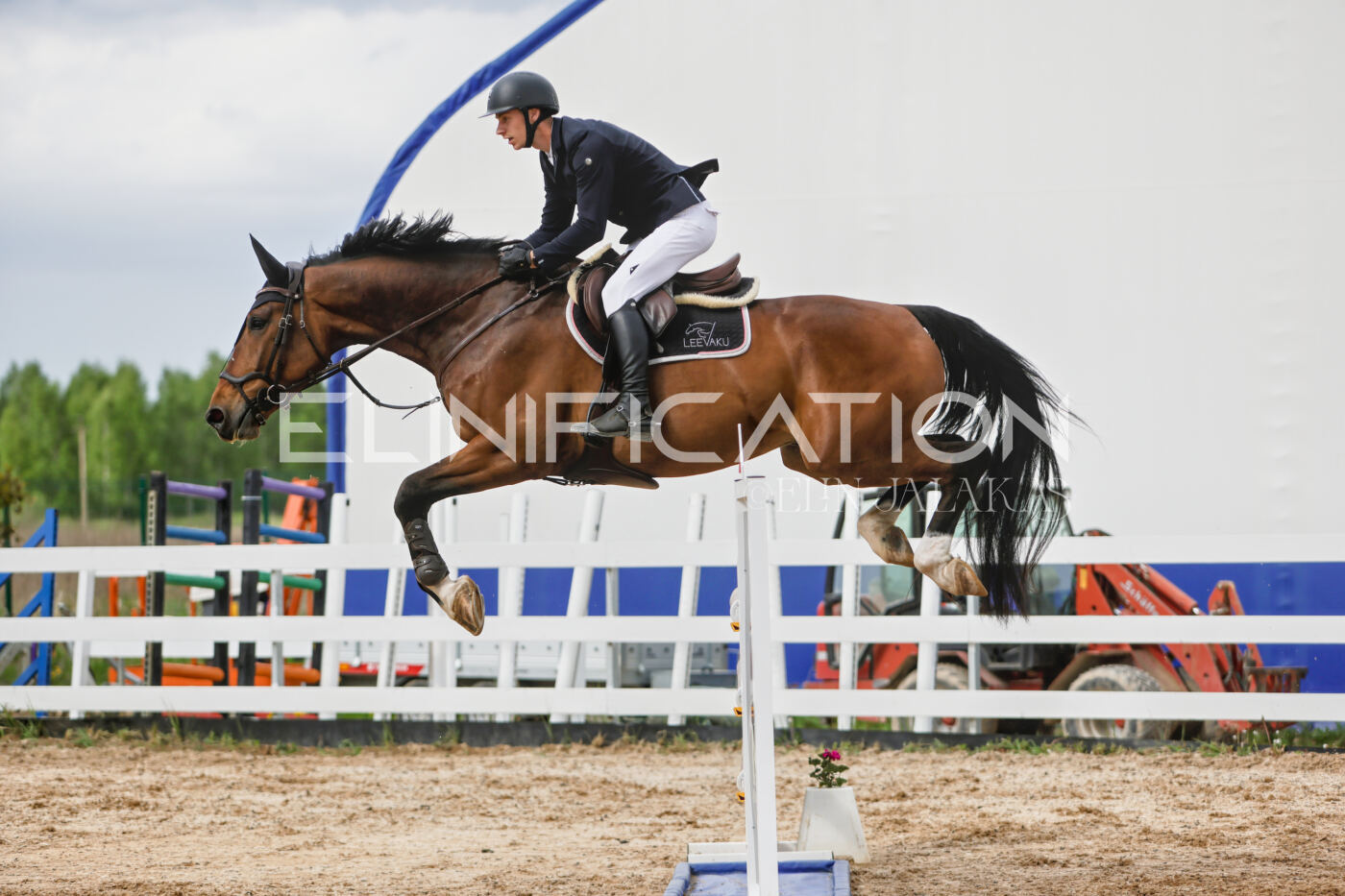 Gramina_Kevad_2026_120_319