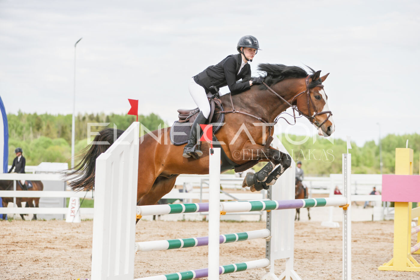 Gramina_Kevad_2026_120_320