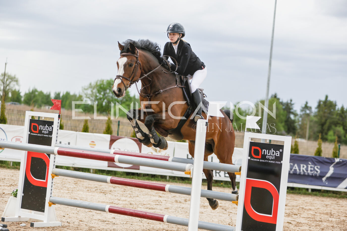 Gramina_Kevad_2026_120_331