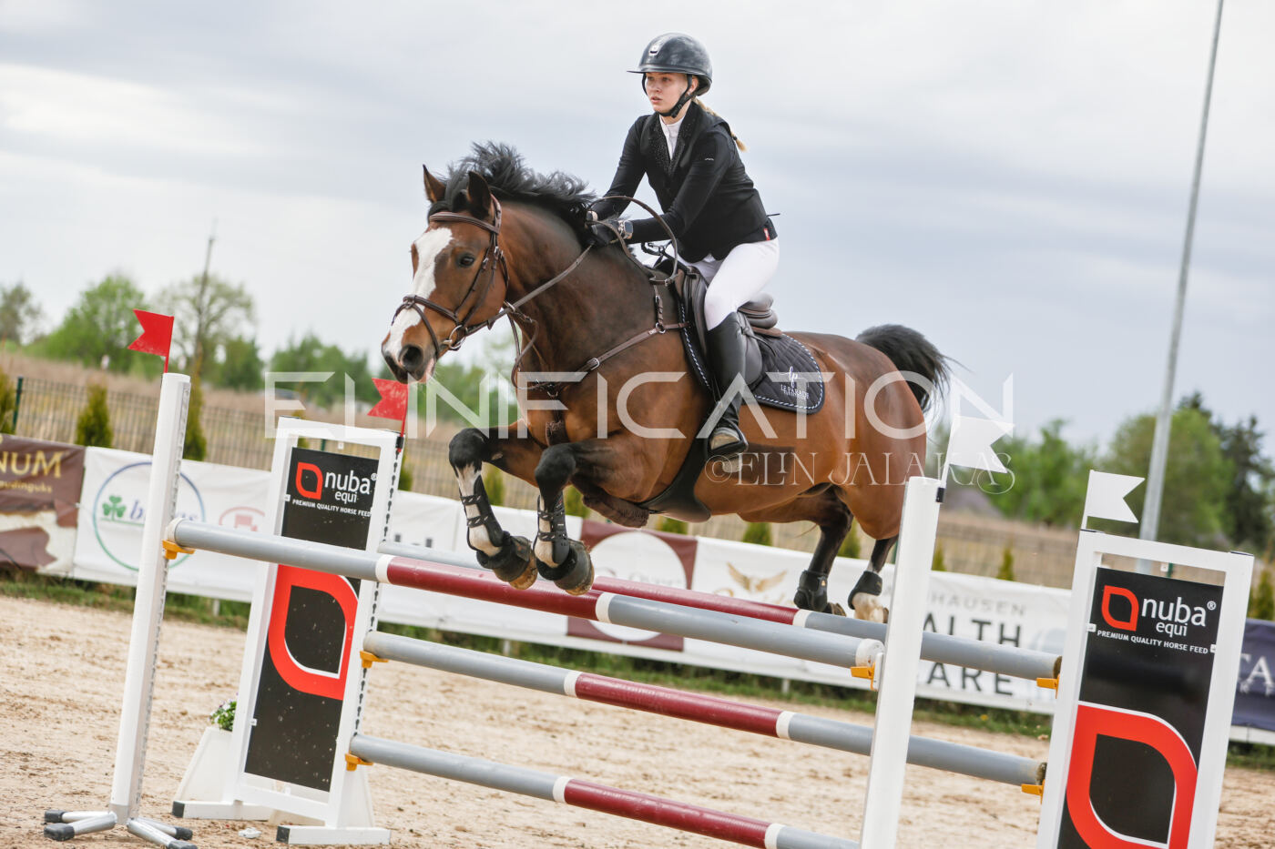 Gramina_Kevad_2026_120_334