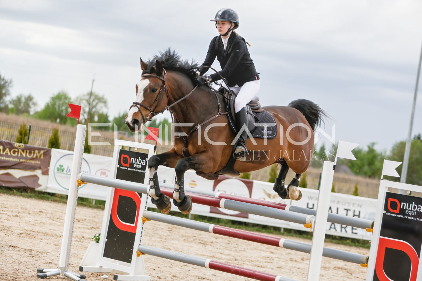 Gramina_Kevad_2026_120_335
