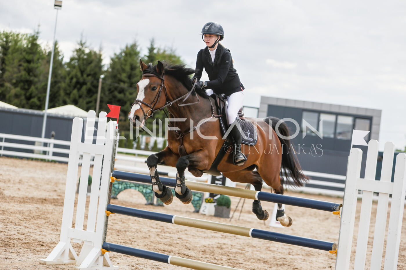Gramina_Kevad_2026_120_338