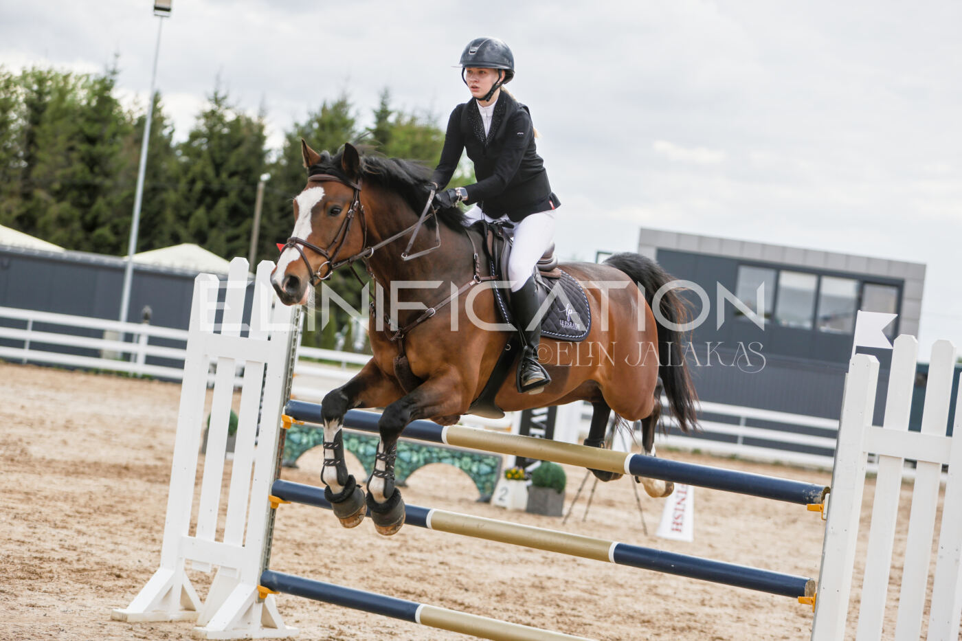 Gramina_Kevad_2026_120_339