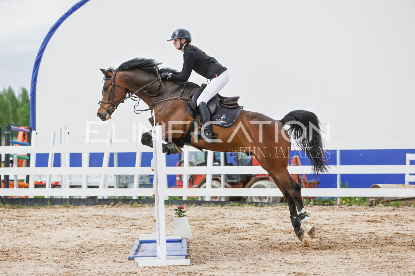 Gramina_Kevad_2026_120_341